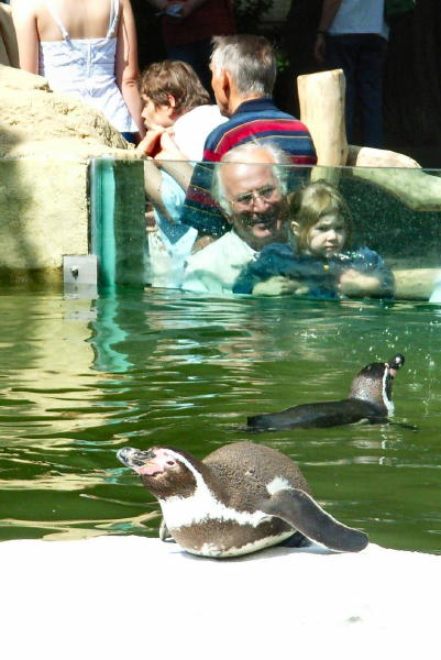 Dresden_20060618_0434